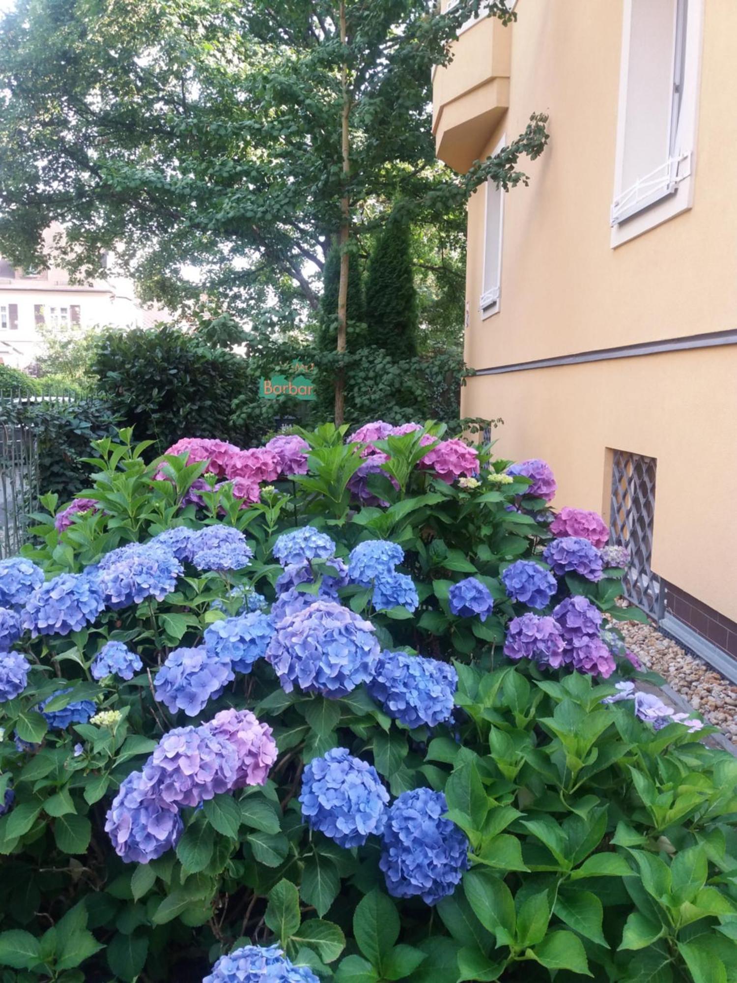 Apartment Barbara Mariánské Lázně Εξωτερικό φωτογραφία